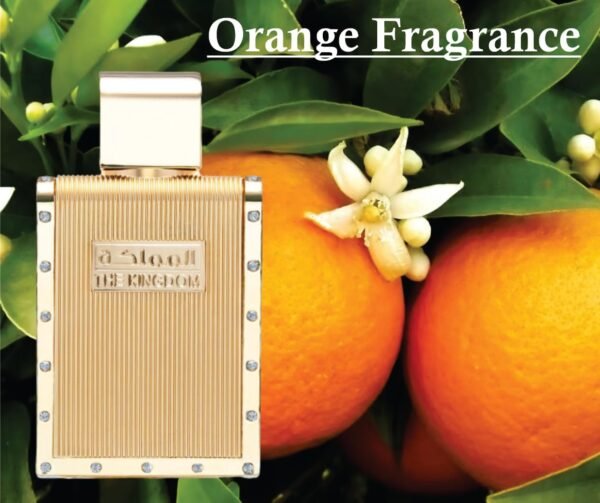 The Kingdom For Men Perfume 100mls - Image 4