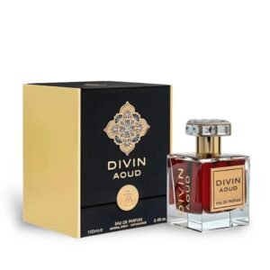 Divin Aoud 100ml EDP by FA Paris (Fragrance World)