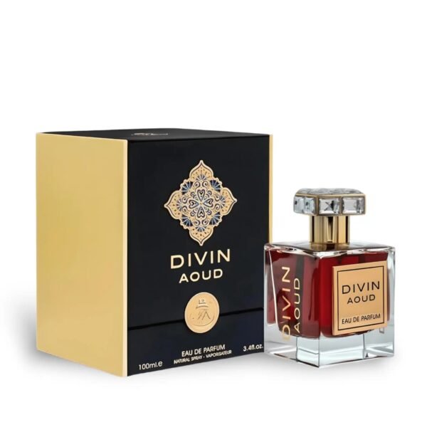 Divin Aoud 100ml EDP by FA Paris (Fragrance World)