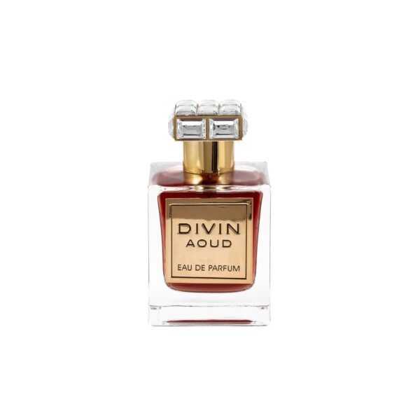 Divin Aoud 100ml EDP by FA Paris (Fragrance World) - Image 5
