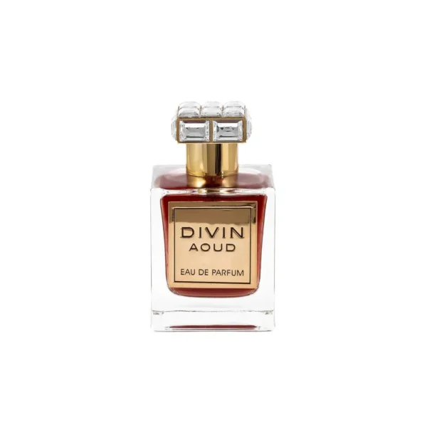 Divin Aoud 100ml EDP by FA Paris (Fragrance World) - Image 4