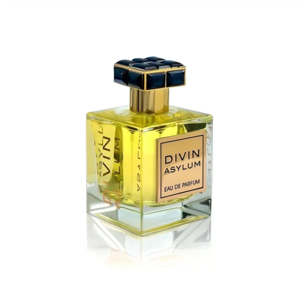 Divin Asylum 100ml EDP by FA Paris (Fragrance World) - Image 2