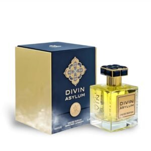 Divin Asylum 100ml EDP by FA Paris (Fragrance World)