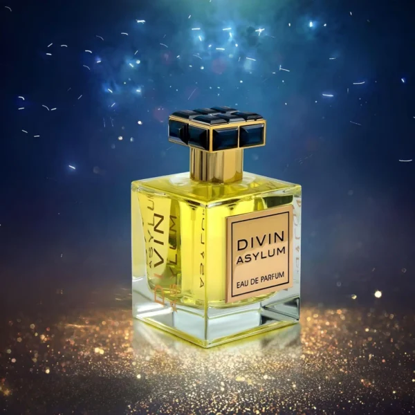 Divin Asylum 100ml EDP by FA Paris (Fragrance World) - Image 4