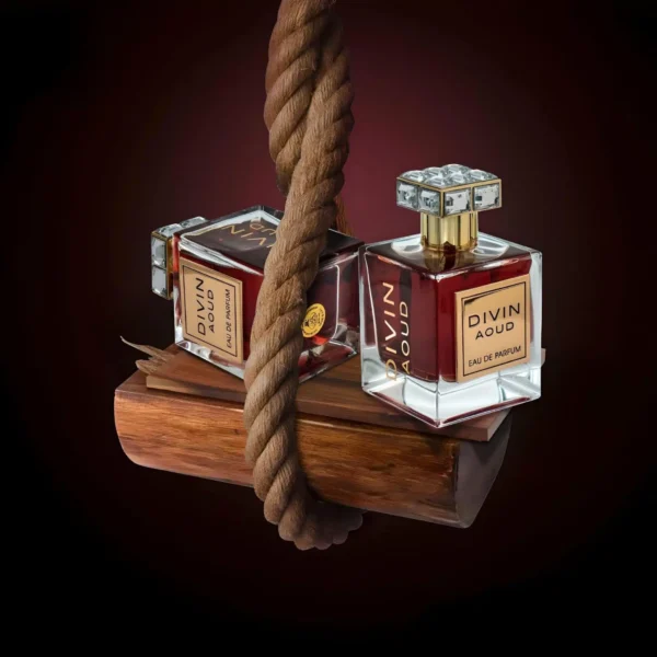 Divin Aoud 100ml EDP by FA Paris (Fragrance World) - Image 2