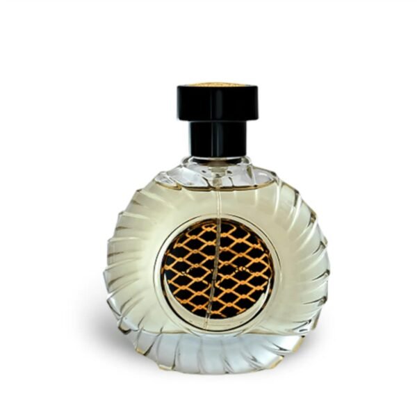 Don Vintage Oud 100ml EDP by FA Paris (Fragrance World) - Image 3