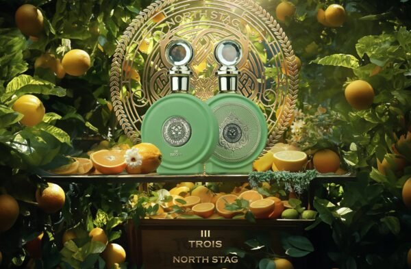 North Stag Expressions III Trois 3 Extrait de Parfum 100ml Paris Corner - Image 6